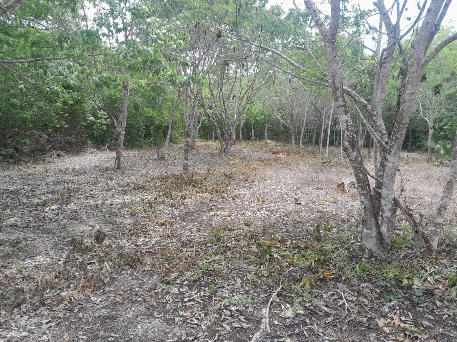 Santa Ana, Cancún